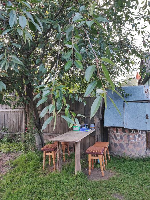 Продам будинок 75 кв Городня