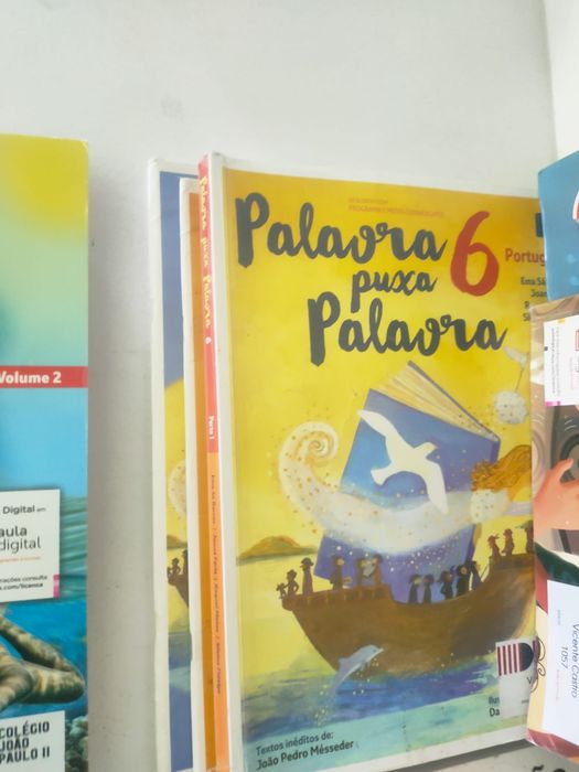 Livros manuais do 6o ano