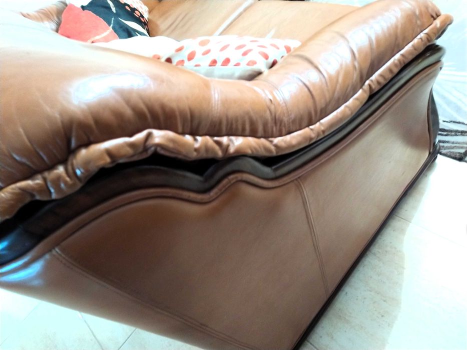 Conjunto de Sofás em Pele (2 e 3 lugares) Excelente Estado
