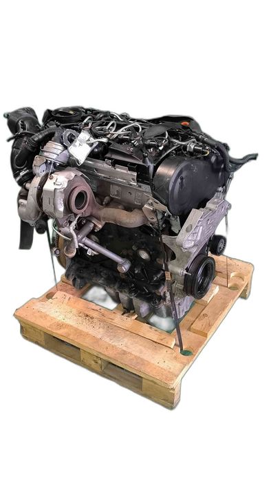 Motor Completo VW CADDY III Veículo multiuso 1.6 TDI (75 kW / 102 cv) [08.2010 - 05.2015] CAY (OEM)