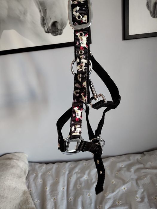 Kantar pony w jednorożce