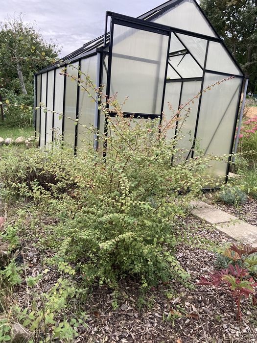 Działka ROD Leśne Oczko Nowy Kisielin