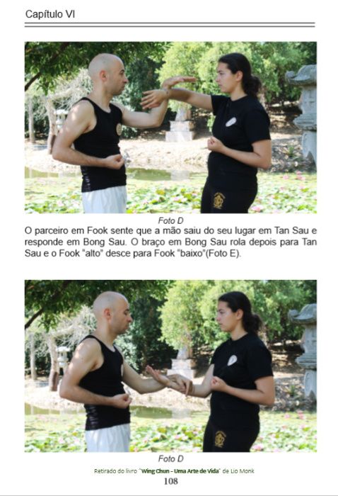 Wing Chun - Uma Arte de Vida