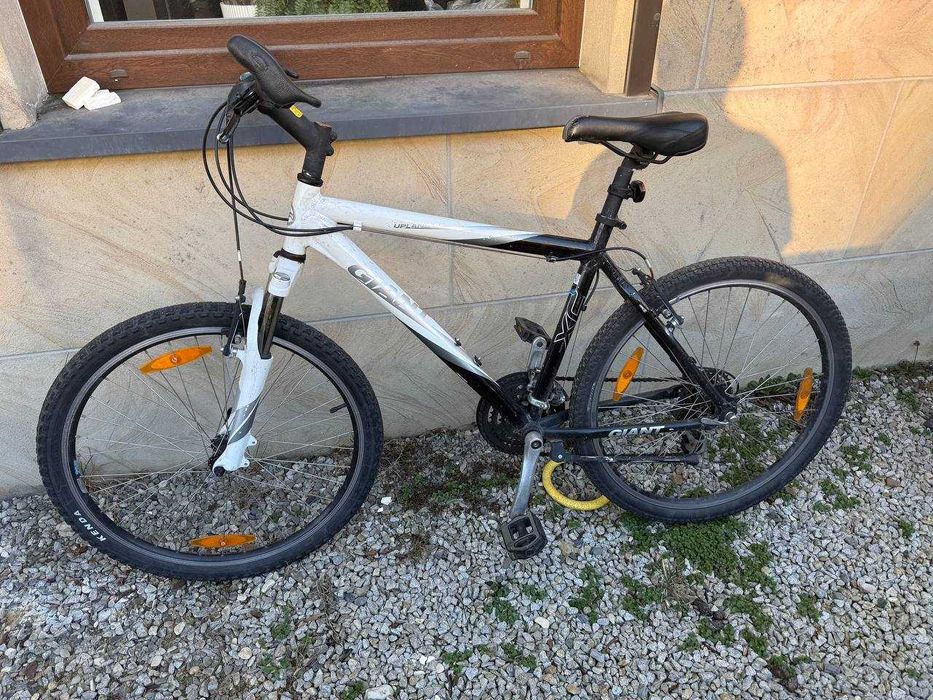 Giant rower górski 26