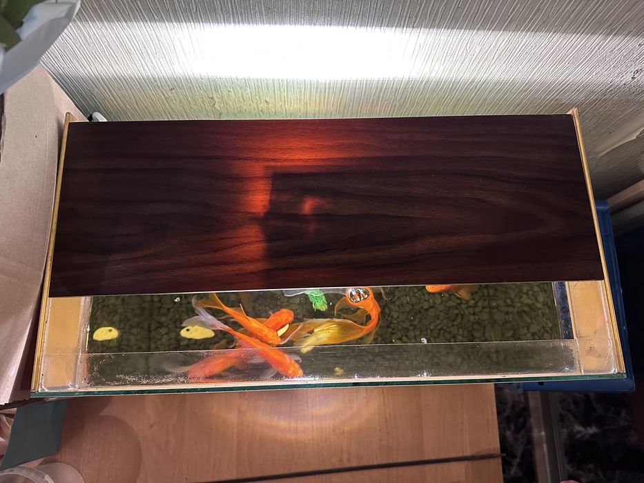 Акваріум 50 літрів, аквариум без риби