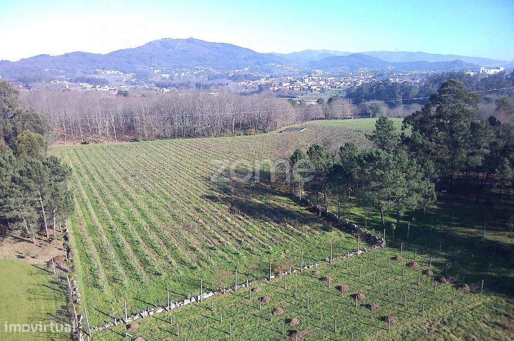 Quinta Agrícola 13300m2 em Barreiros, Amares