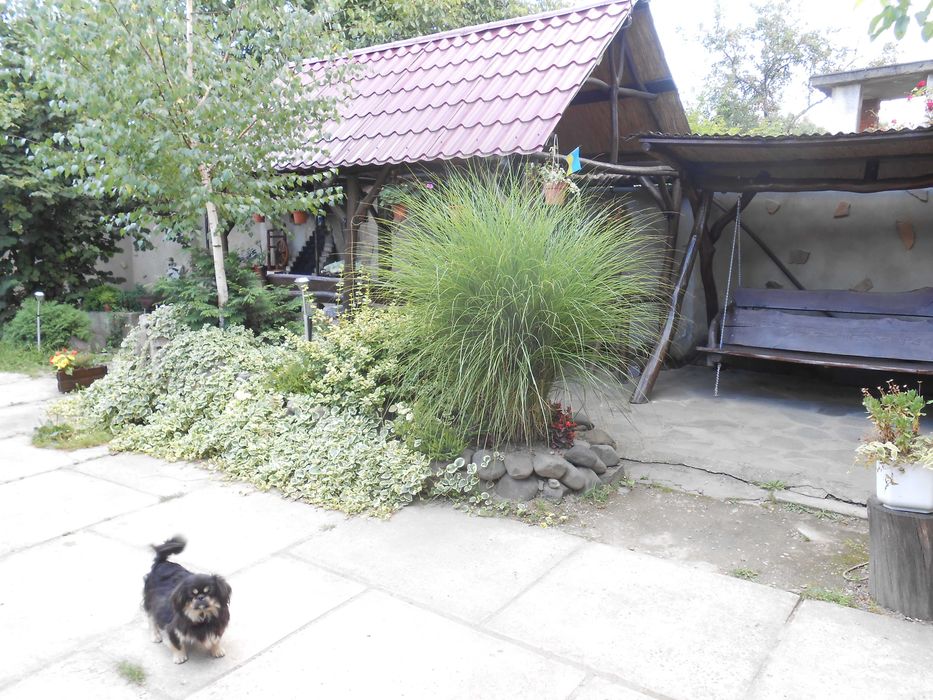 Здам Дом Будинок по суточно 5хв до Термального басейнуЗакарпатя вільно