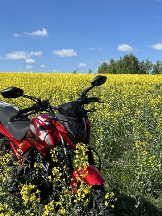 Продам Musstang Region 200