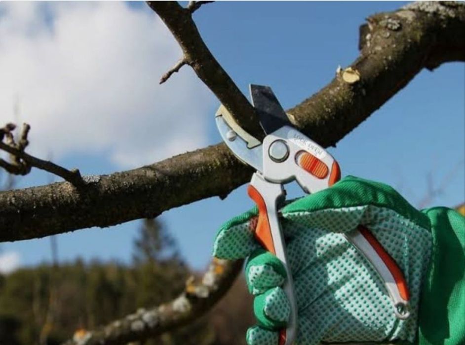 Обрізка саду та дерев.