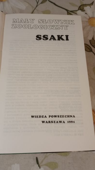 Ssaki. Mały słownik zoologiczny.