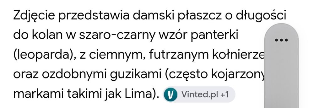 Plasz w panterke