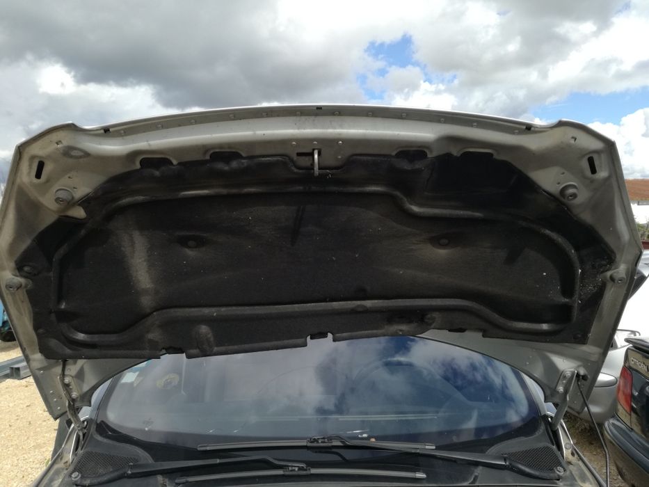 Capô Peugeot 307