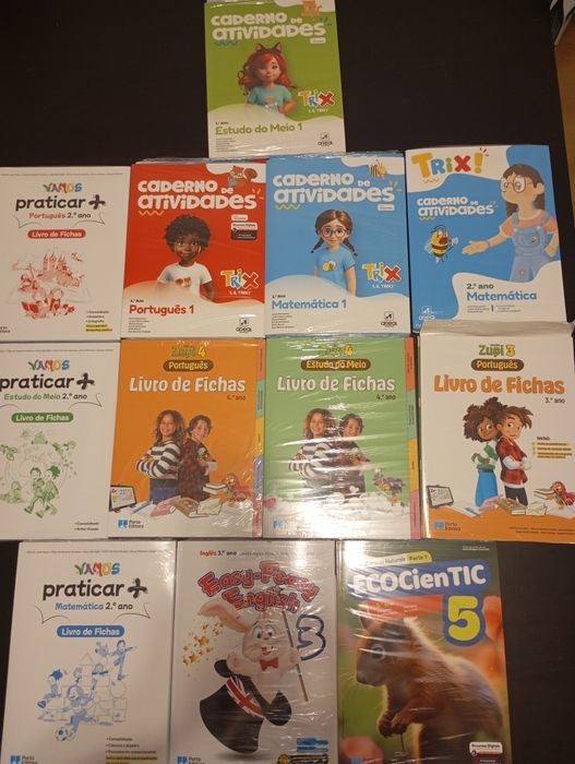 Vários livros escolares