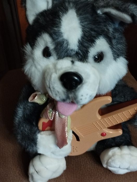 Cão peluche com viola