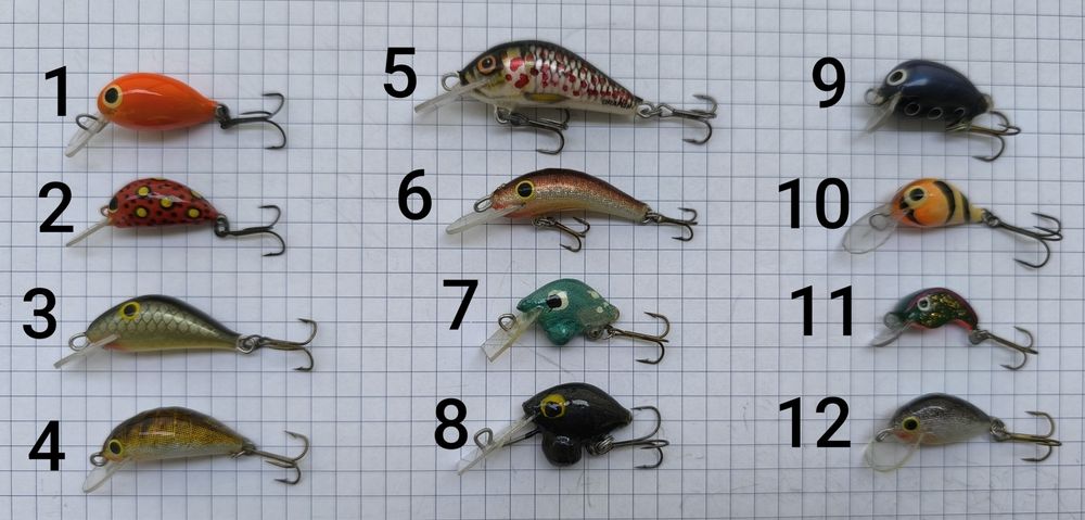 Woblery kleniowo-jaziowe 12 sztuk + pudełko