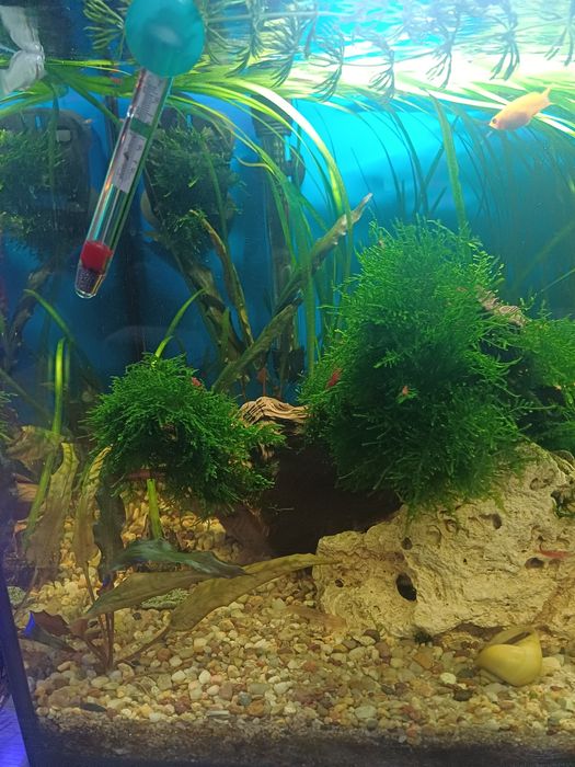 Sprzedam akwarium 120l