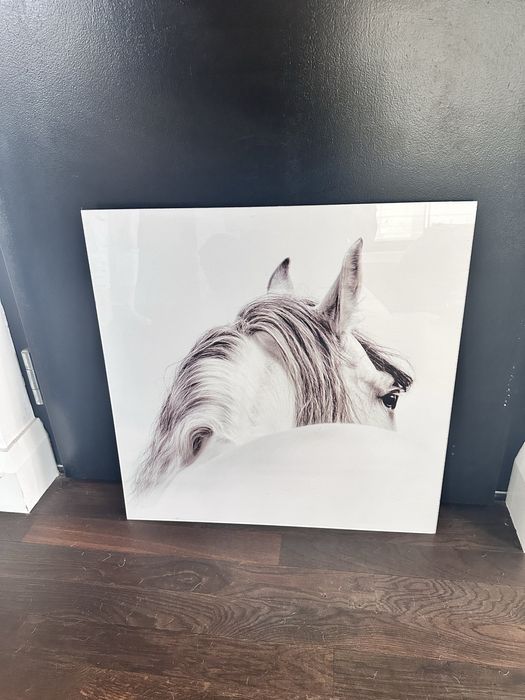 Grafika koń piekny obraz 60x60