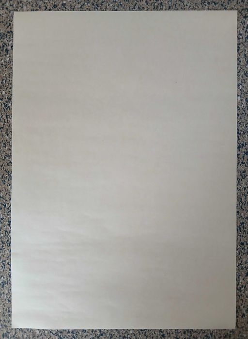 Poster - Watchmen de Alan Moore (papel kraft, 30x42 cm)