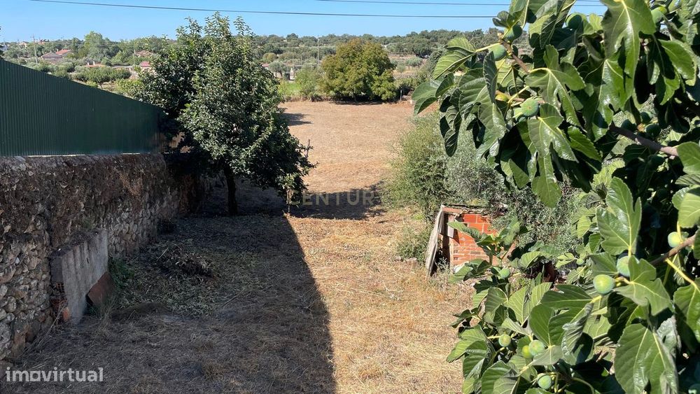 Terreno Rústico | Escalos de Baixo, Castelo Branco