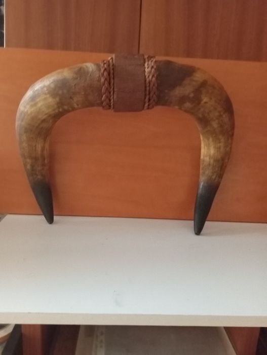 Peça decorativa cornos de touro