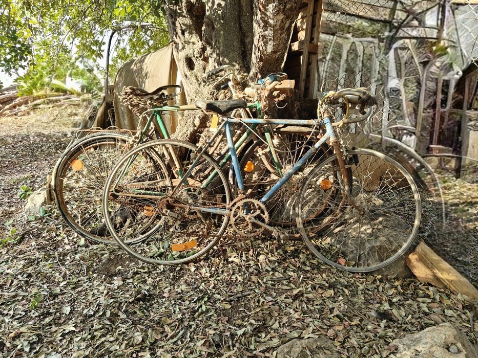 Lote de Bicicletas Antigas