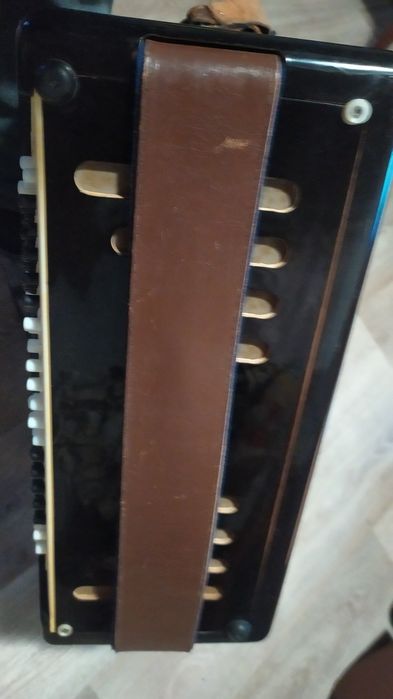 Баян Мічта випуску тих часів