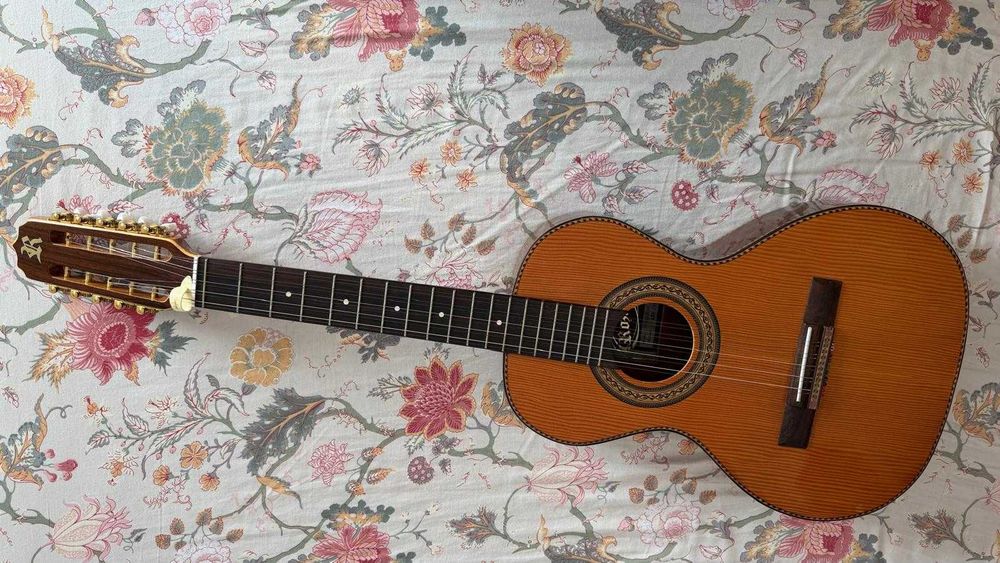 Viola Caipira ROZINI 12 Cordas