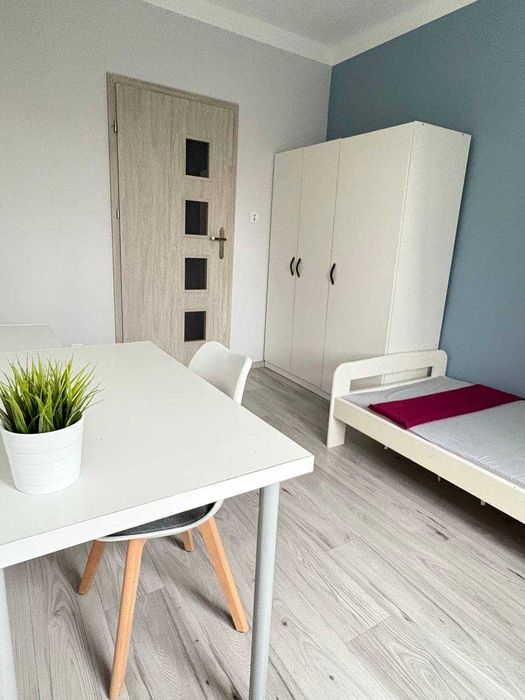 Jedynka do wynajęcia od ZARAZ || KANTORA 6 || TAURON ARENA