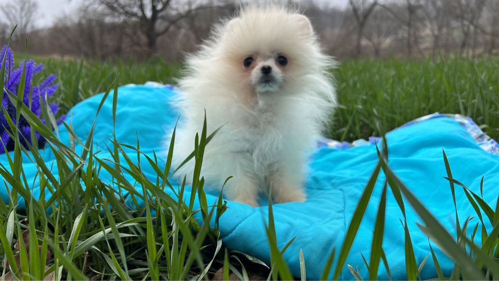 Ніжний хлопчик малюк