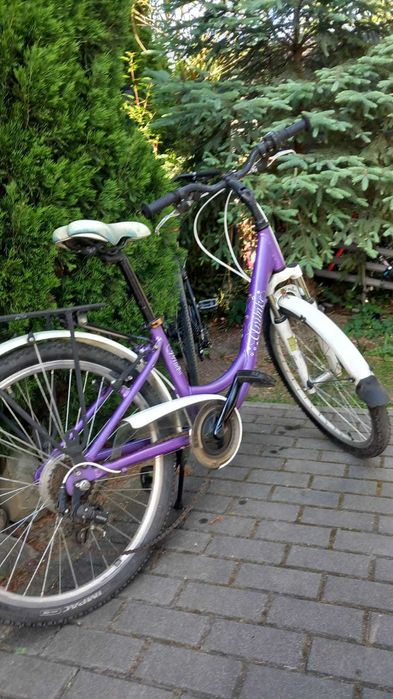 Rower Unibike Princess 6