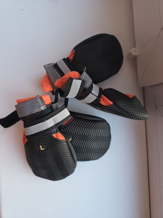 Buty dla psa rozmiar L skarpetki skarpety pies pomarańczowe czarne