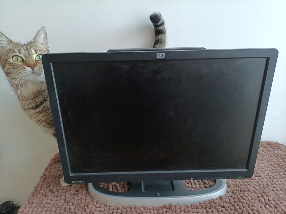 Monitor LCD 19 VGA