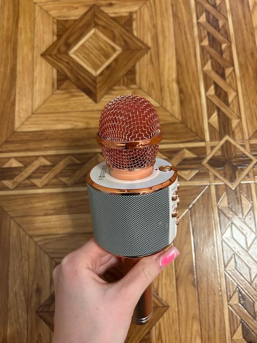 Mikrofon karaoke