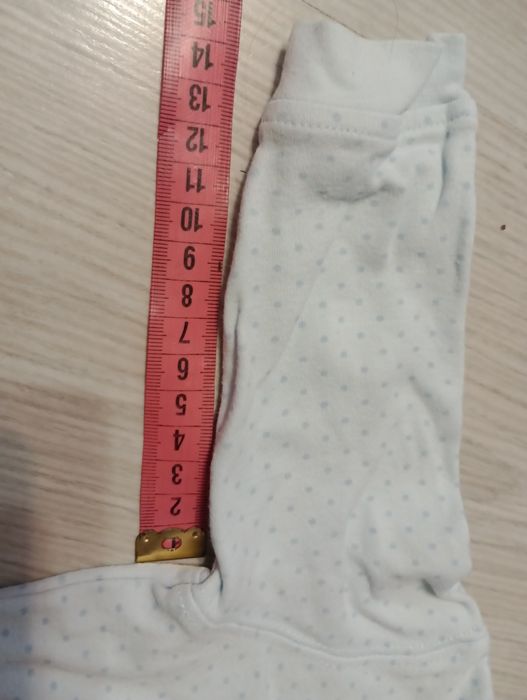 Pajacyk jasnoniebieski