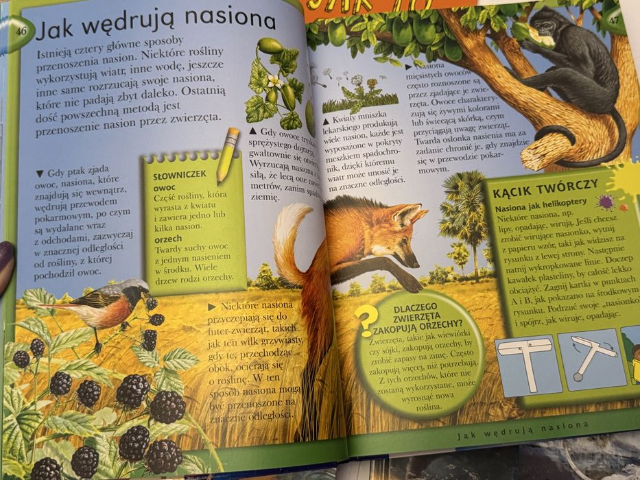 Ksiazki edukacyjne dla dzieci i młodzieży