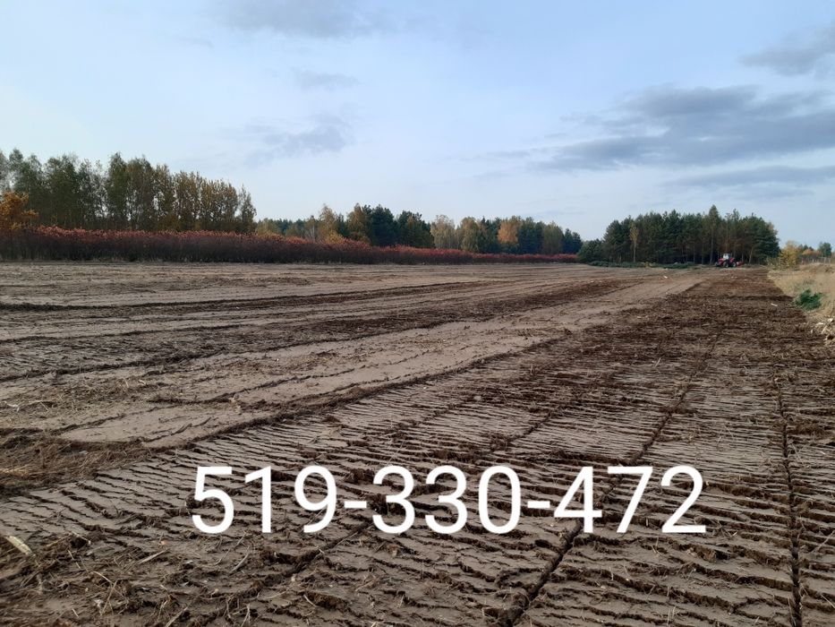 Mulczer mulczowanie wycinka czyszczenie dzialek terenu karczowanie