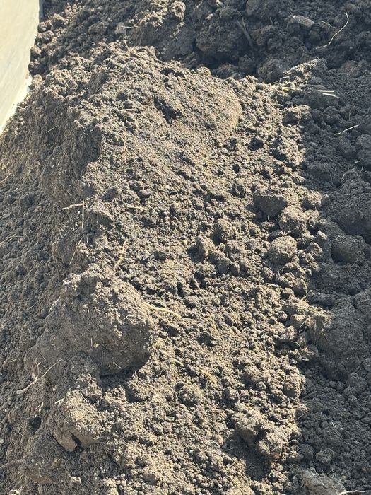 Czarnoziem ziemia humus