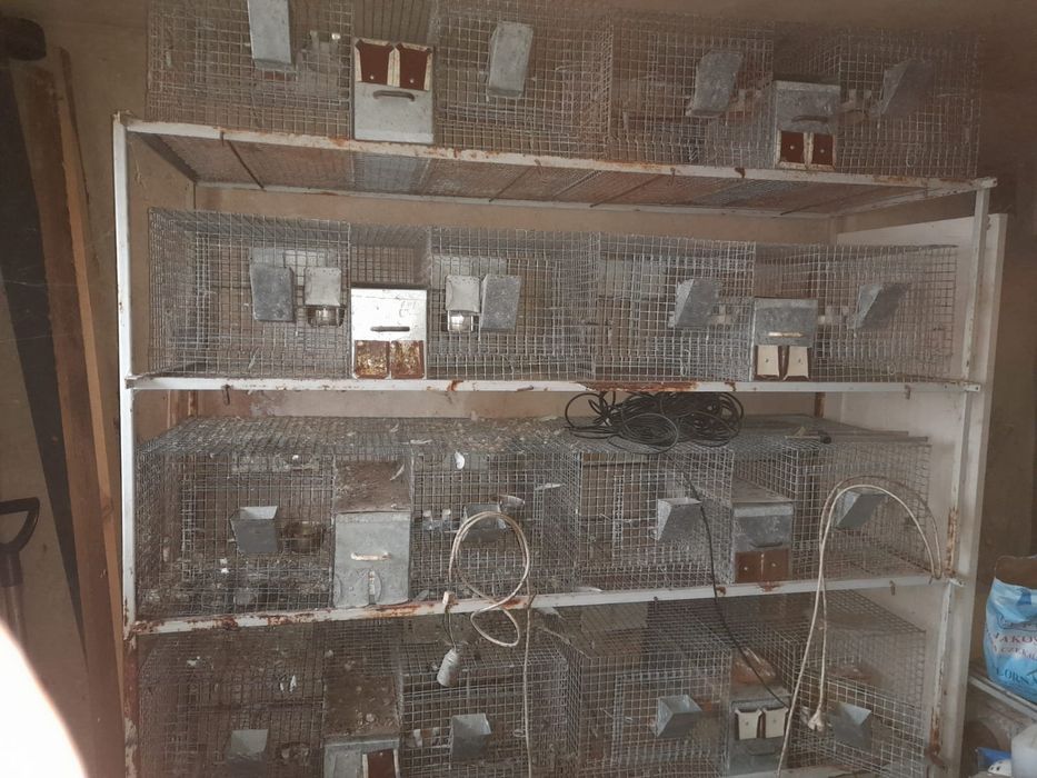 Regał z klatkami dla zwierząt