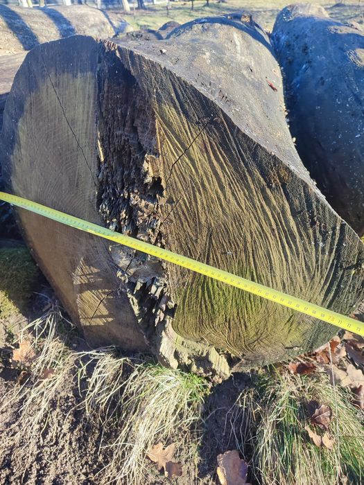 Кругляк дуба, пиломатеріали.