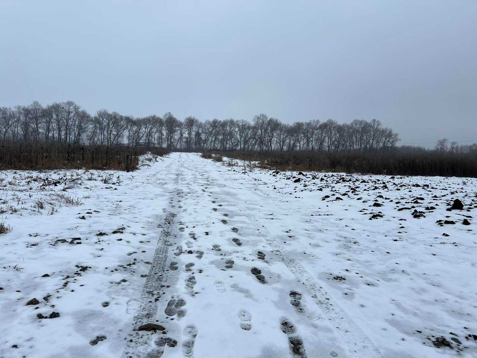 Продаж земельної ділянки під жит. забудову, Тяжилів, Костел, 6,3 сот.