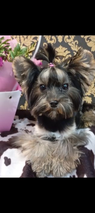 Супер малыш красавчик