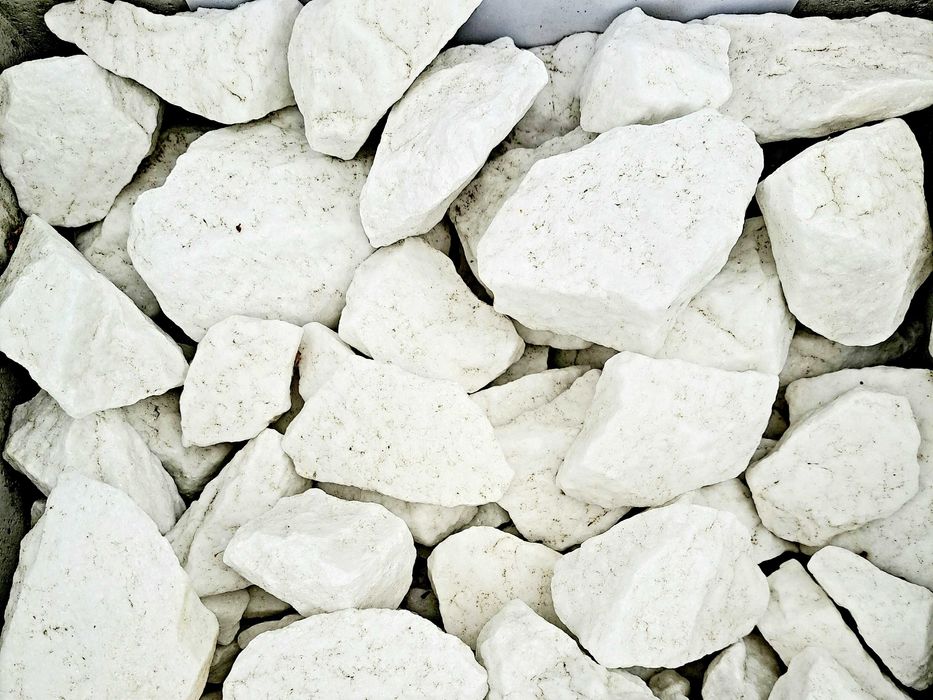 Grys śnieżnobiały