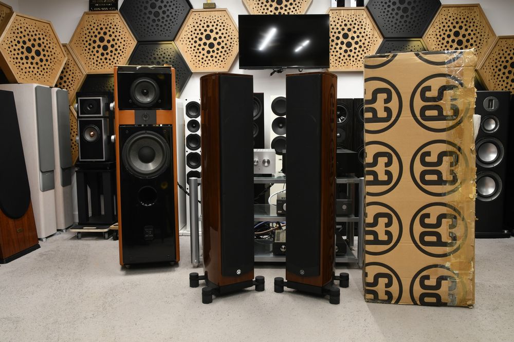 Kolumny Głośnikowe podłogowe stereo kolumny System Audio Pandion 20