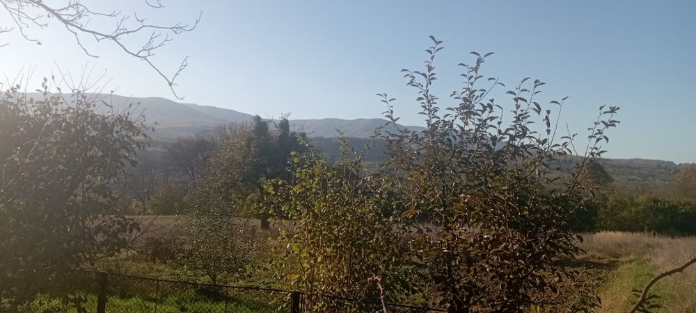 Ціну знижено! Продамо будинок та 25 соток Голубине на пагорбі