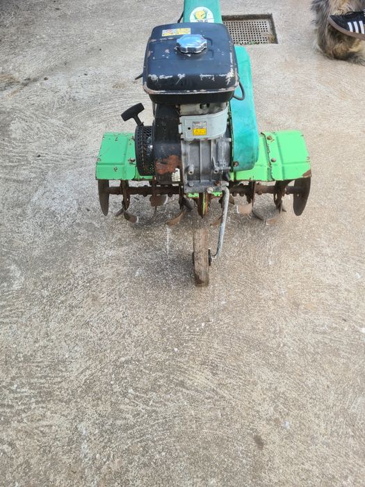 Motoenxada motor Robin EY20