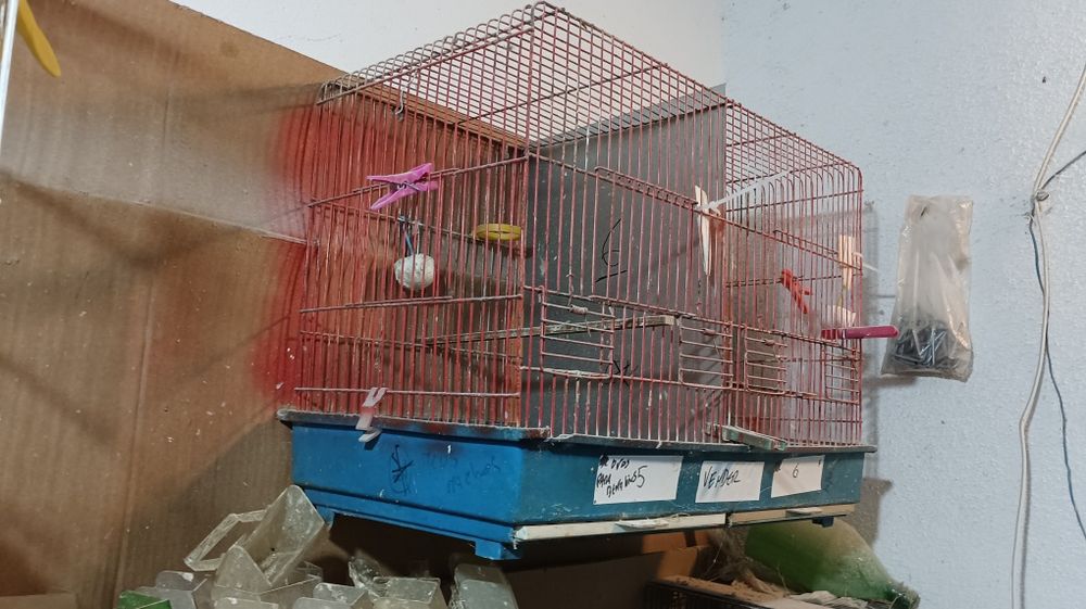 Gaiolas para aves e ninhos gr2