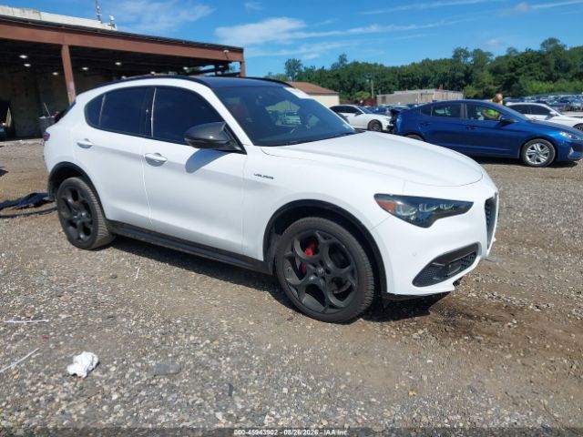 Alfa Romeo Stelvio 2.0 Turbo 16V AT8-Q4 Veloce