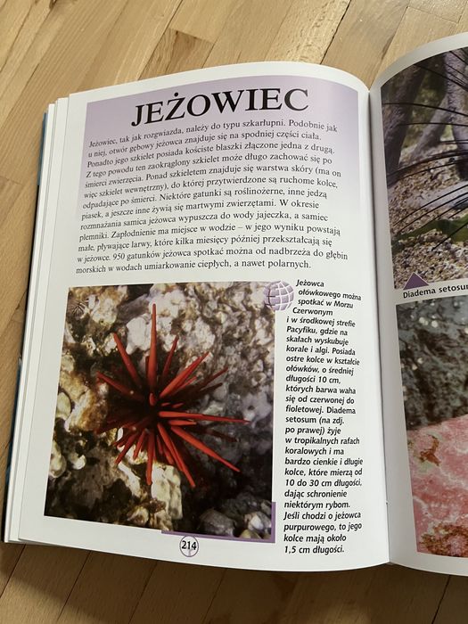 Świat Zwierząt