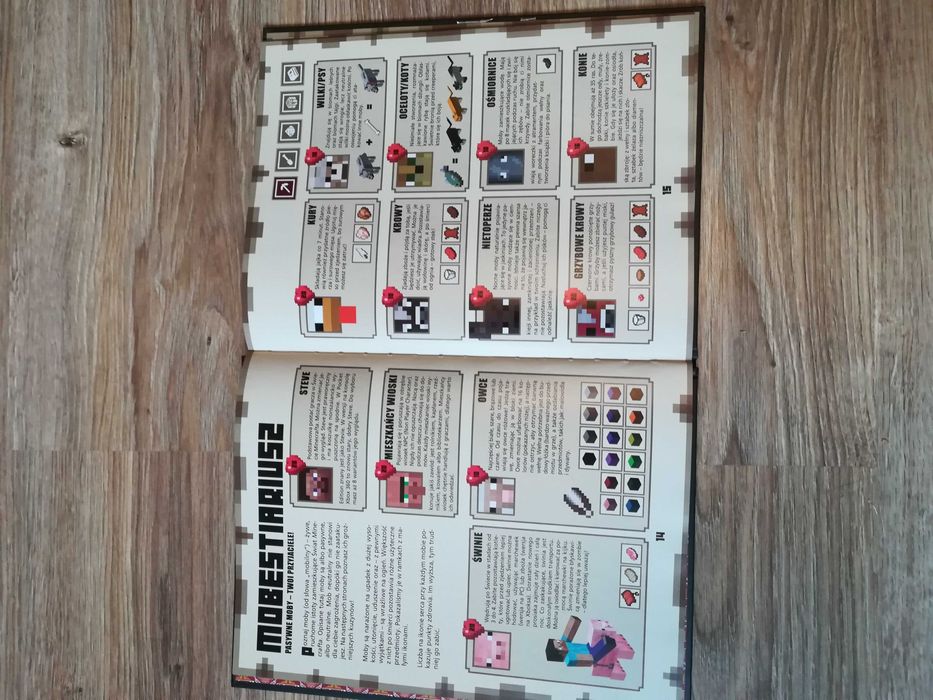 Książka Minecraft 2014
