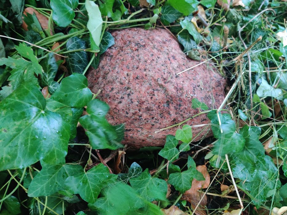 Kamienie, otoczaki, ciekawy zbiór,